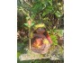 4" Art Doll Pele, Volcano Goddess